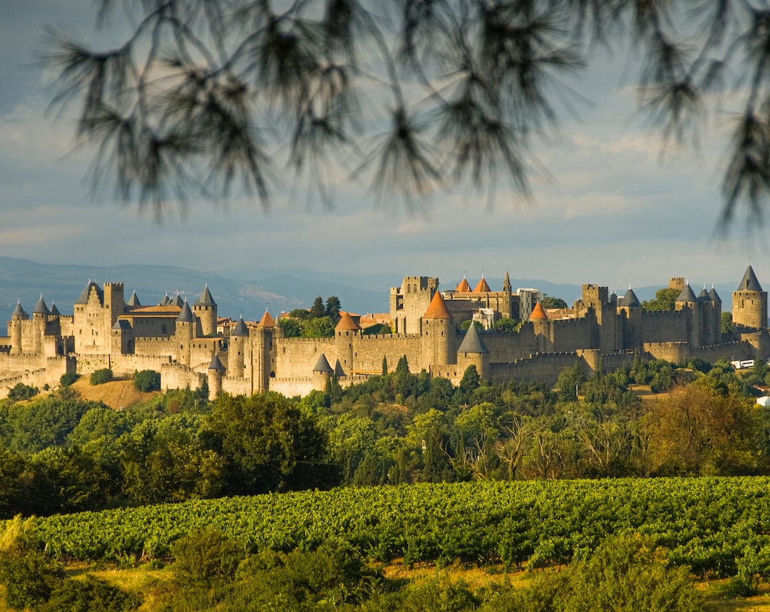 Solutions de Réfrigération Mobile à Carcassonne : Louez des Camions Frigorifiques pour vos Besoins de Transport