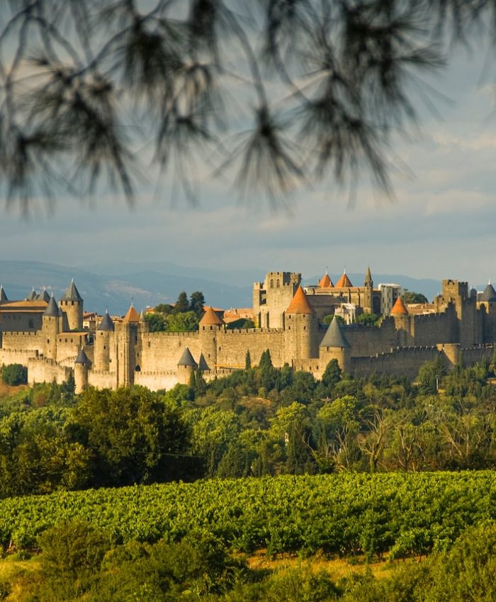 Solutions de Réfrigération Mobile à Carcassonne : Louez des Camions Frigorifiques pour vos Besoins de Transport